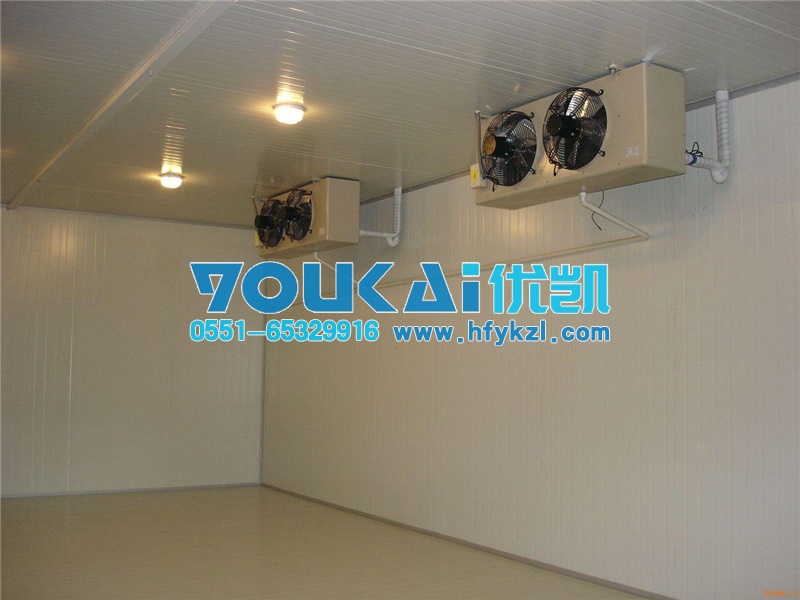 阜陽(yáng)水果保鮮冷庫(kù)安裝案例