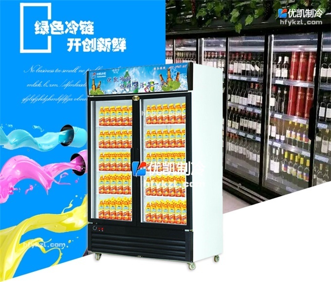 BL-B1雙門直冷陳列柜/飲料柜(暢銷產品)