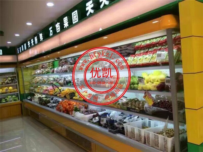 （原海爾款）LF-B型風幕柜案例圖